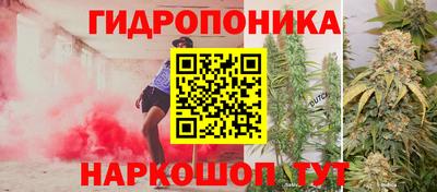 мдпв Донецк